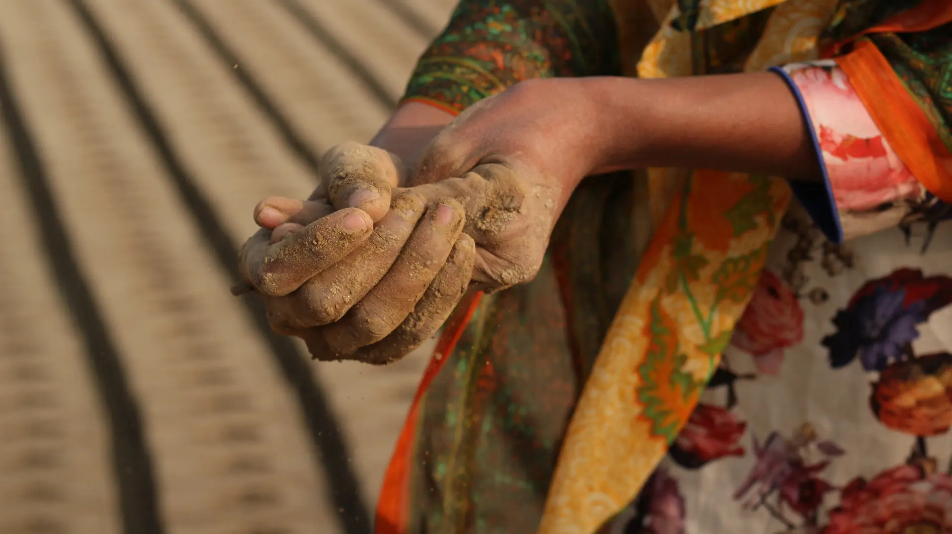 A family walks free of the brick kilns